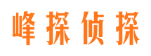 沙坪坝侦探公司